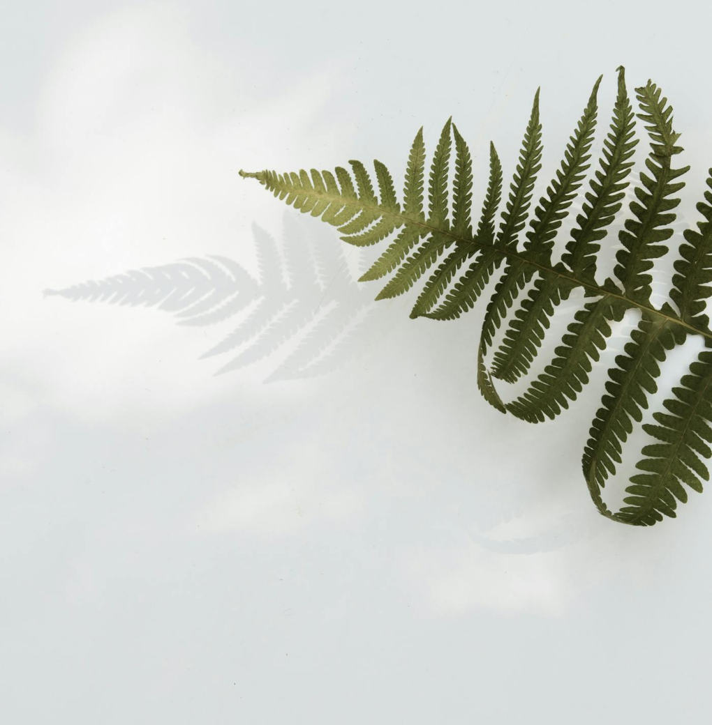Untitled Design (10)