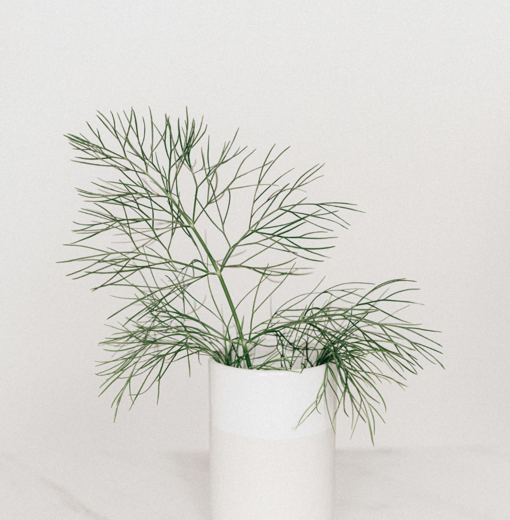 Untitled Design (24)