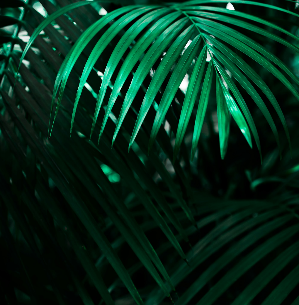 Untitled Design (25)