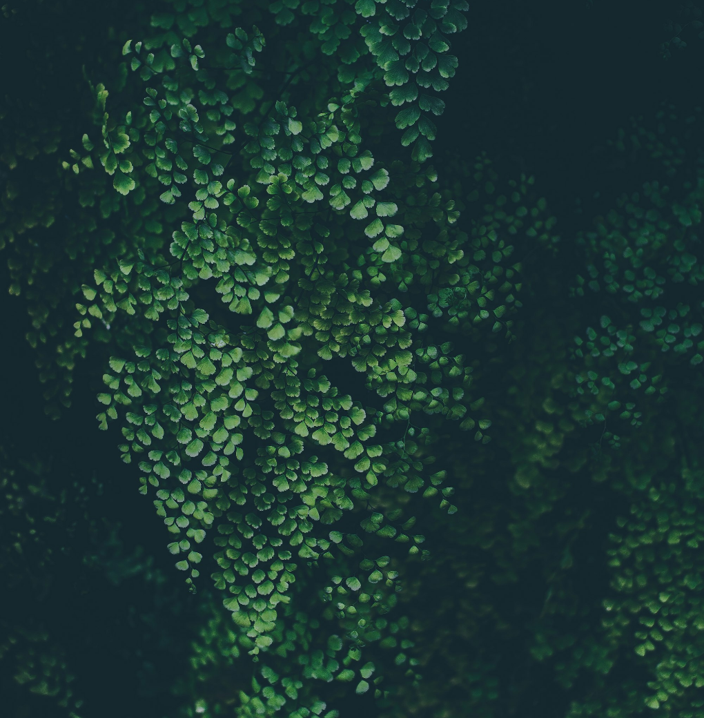 Untitled Design (31)