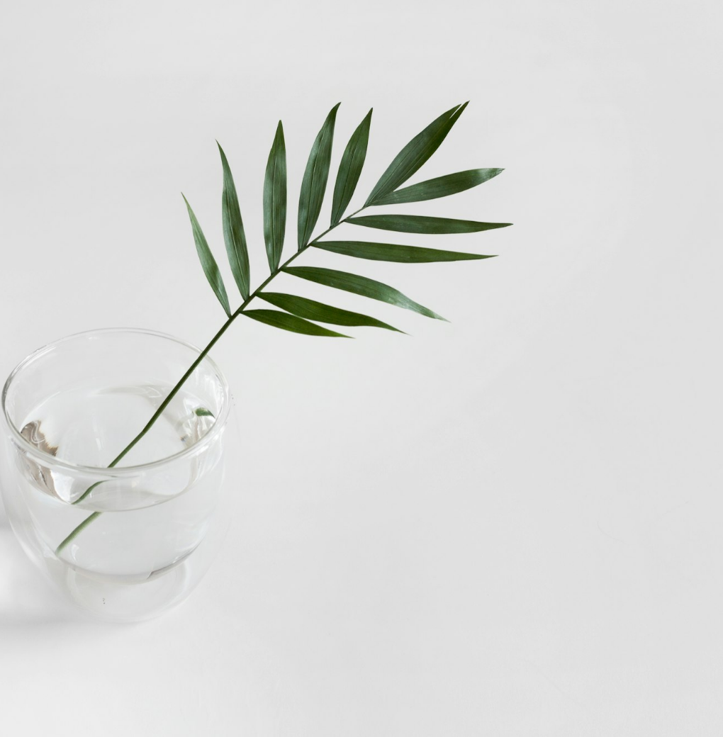 Untitled Design (34)