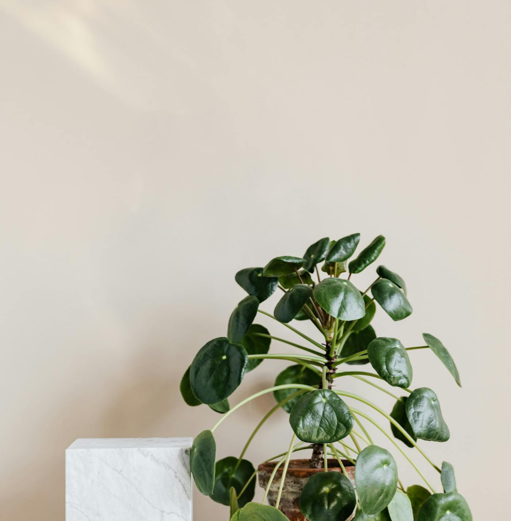 Untitled Design (30)