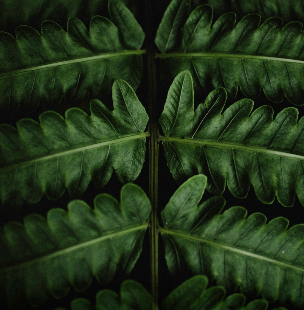 Untitled Design (44)