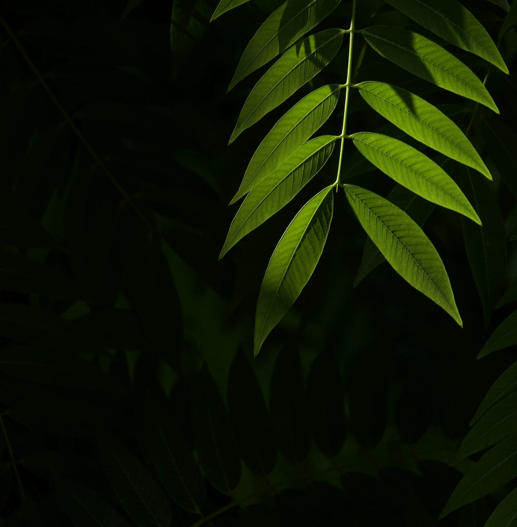 Untitled Design (47)