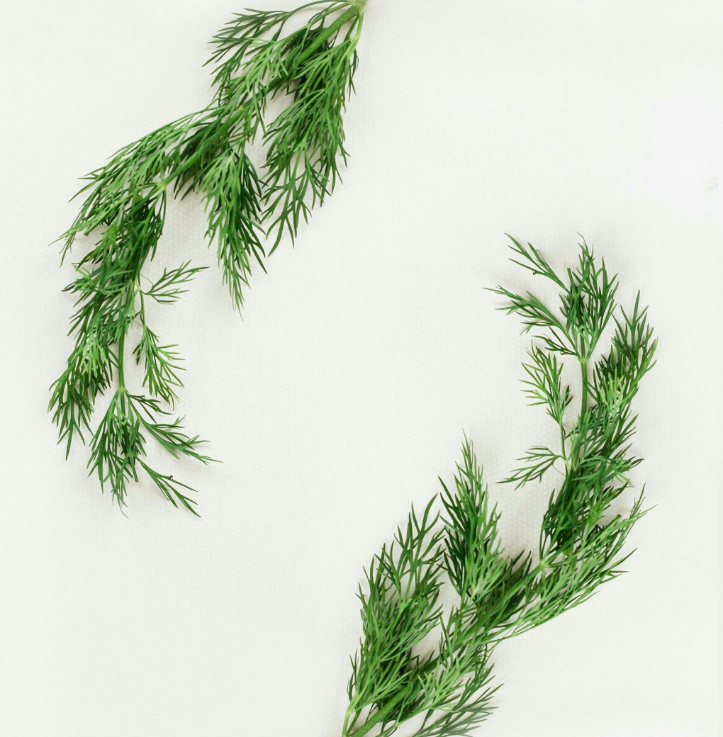 Untitled Design (54)