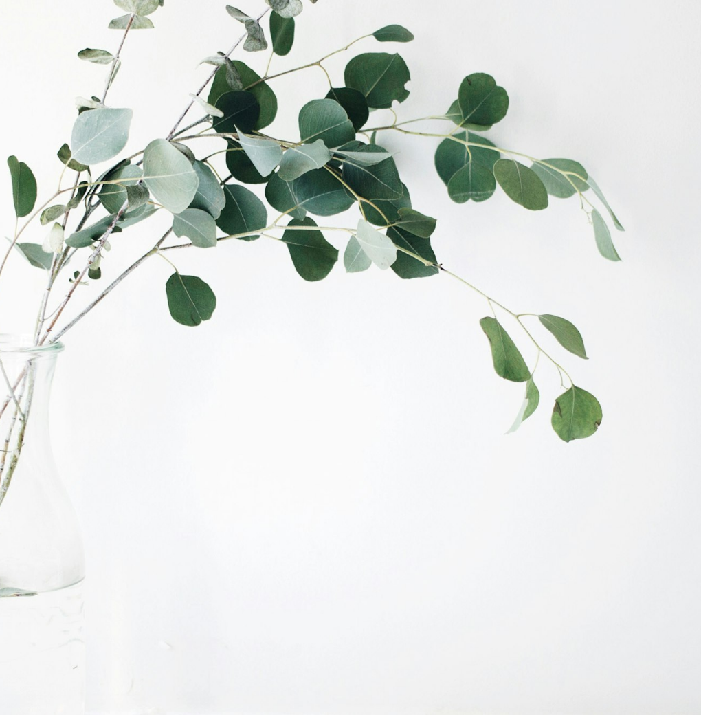 Untitled Design (69)