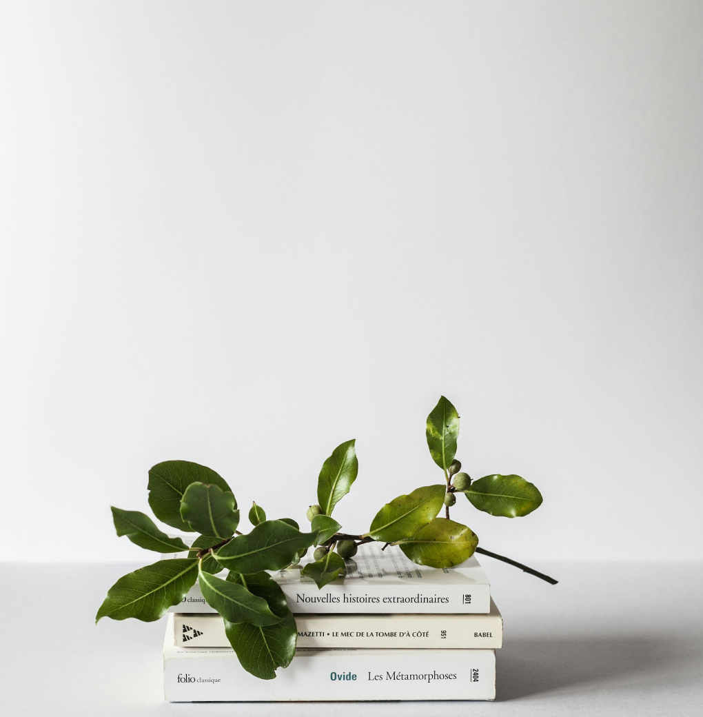 Untitled Design (63)
