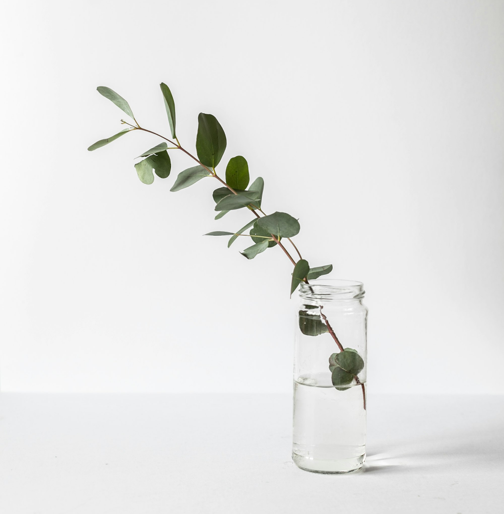 Untitled Design (73)