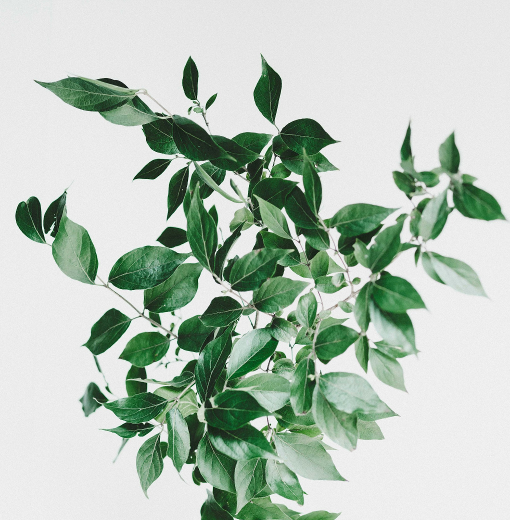 Untitled Design (75)