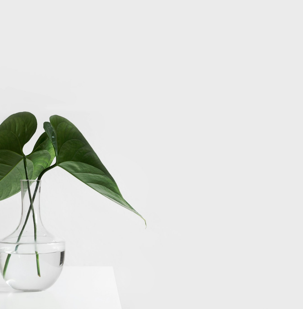 Untitled Design (83)