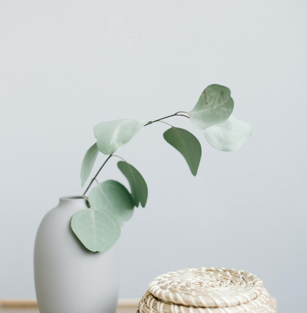 Untitled Design (92)