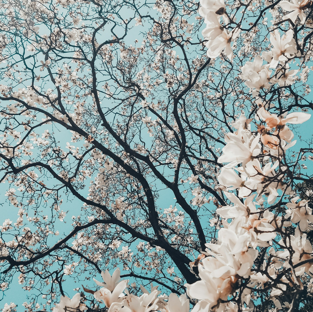 Untitled Design - 2024-08-07T144016