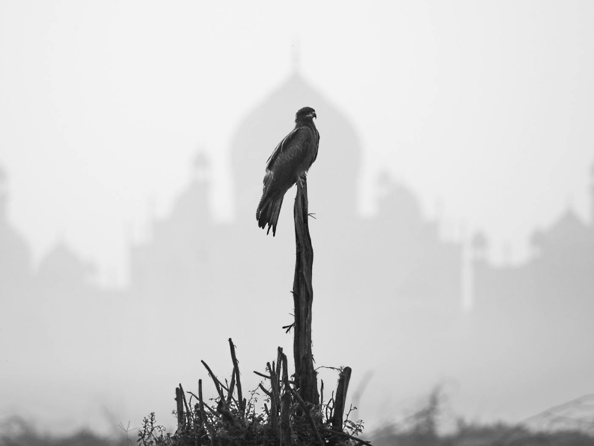 Untitled Design (11)