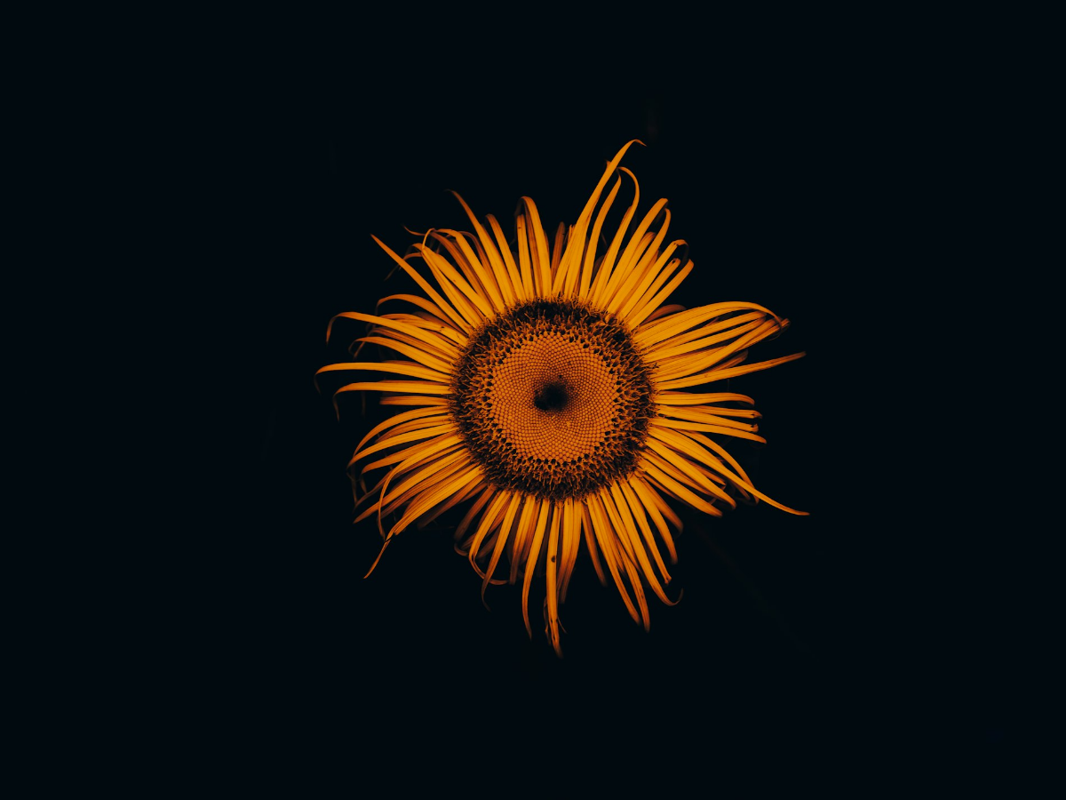 Untitled Design (26)