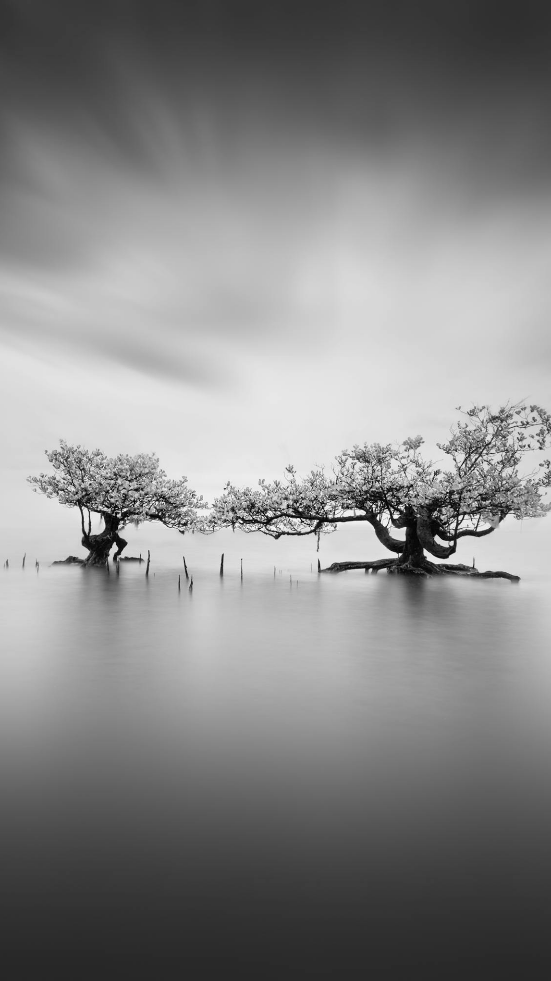 Untitled Design copy (22)