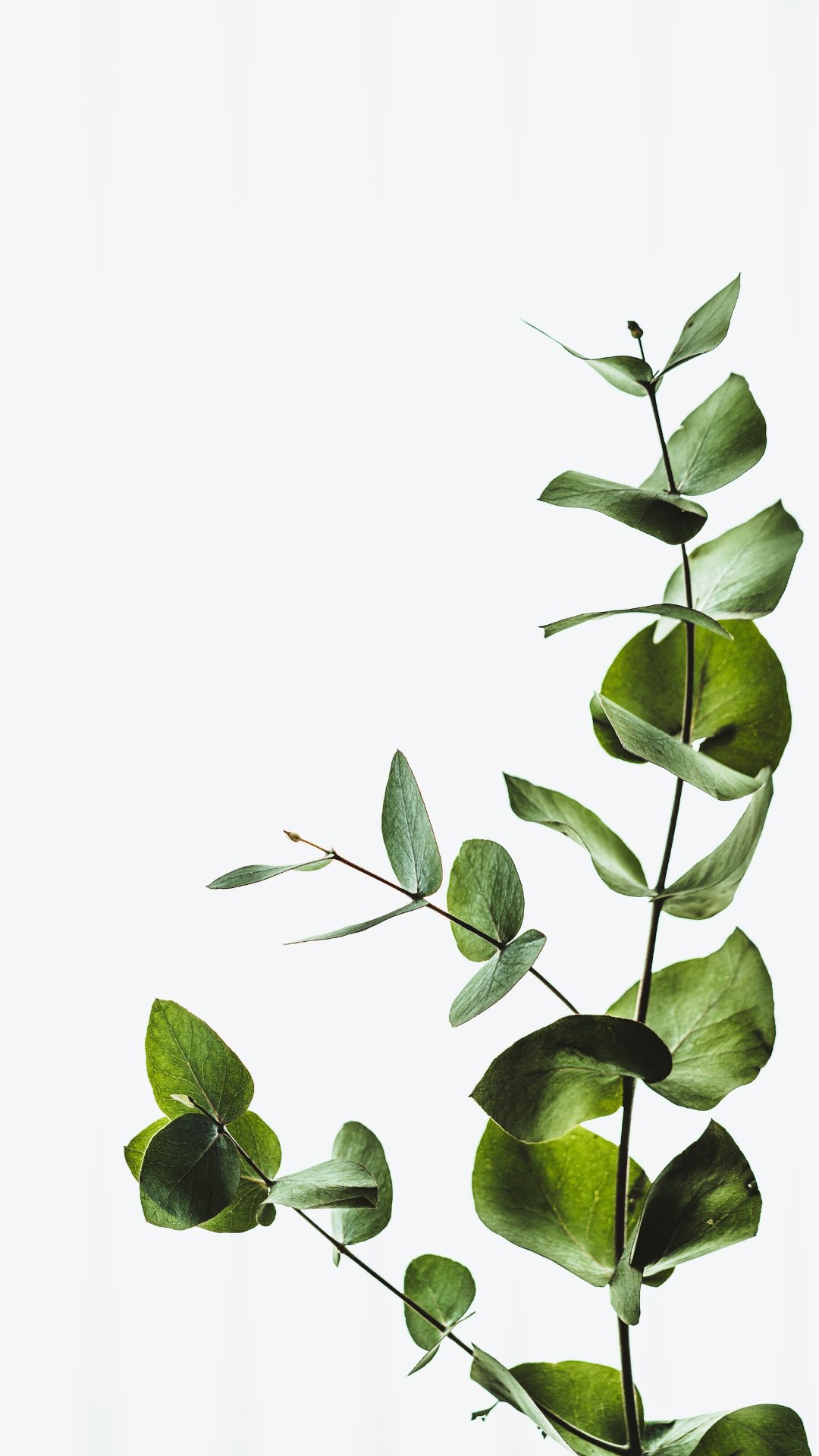 Untitled Design copy (30)
